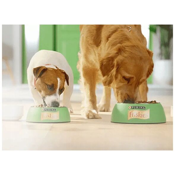 Friskies Dog Junior Kurczak i marchewka w sosie saszetka 85g