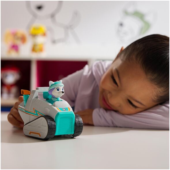 Paw Patrol Basic Vehicle 2.0 - Everest