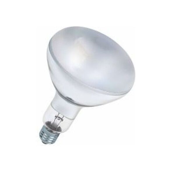 Osram  (4008321543929)