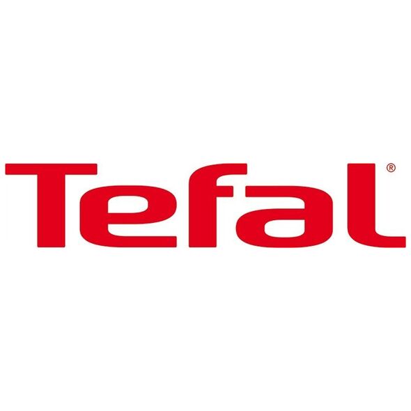 Vacuum cleaner - broom Tefal X-Force Flex 14.60 Aqua, TY99C