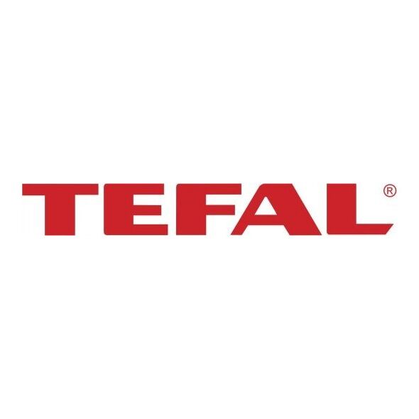 Vacuum cleaner - broom Tefal X-Force Flex 14.60 Aqua, TY99C