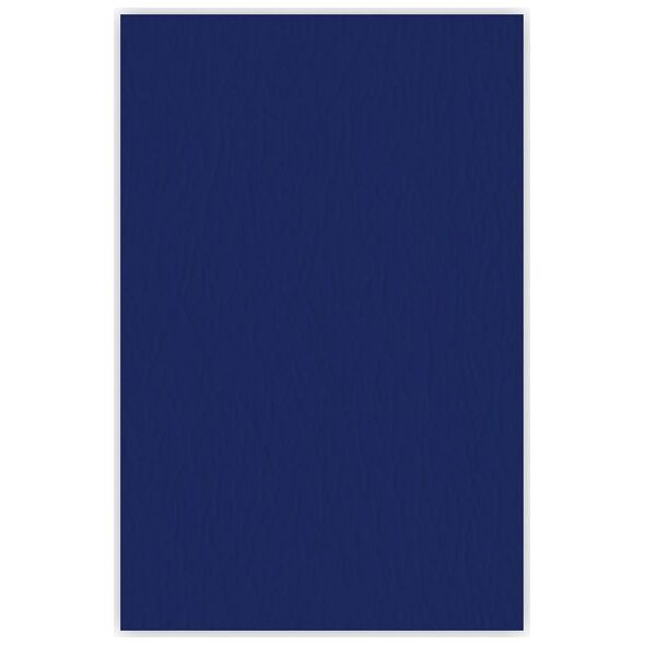 Argo Δερμάτινο χαρτόνι βιβλιοδεσίας Α4 ARGO DELTA 407065 navy blue 25 τμχ 10380001 5903069238207