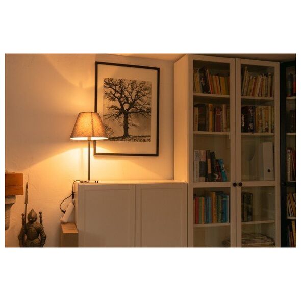 Segula Segula LED Radio Style klar E14 3W 2200K dimmbar