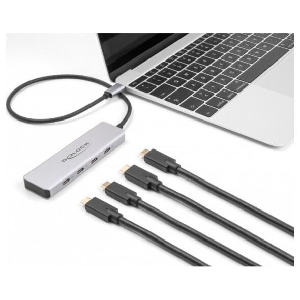 USB HUB Delock DeLOCK USB 10 Gbps USB Type-C Hub με 4 x υποδοχή USB Type-C, USB hub (γκρι) 13848614 4043620000000