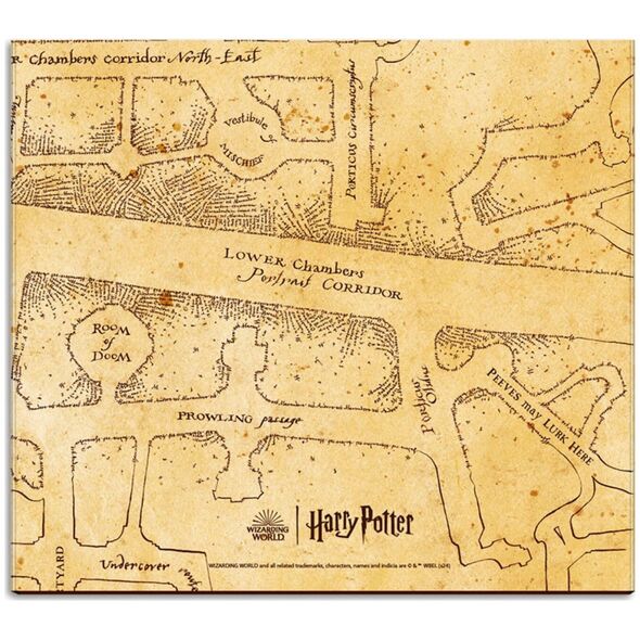 Harry Potter Harry Potter - Planner tygodniowy z karteczkami samoprzylepnymi (19,3 x 16,5 cm)