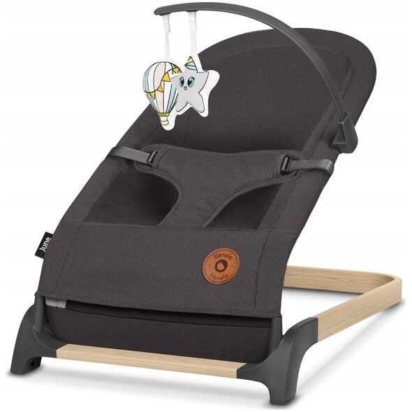 Gultukas-sūpuoklė Lionelo June, Grey Stone 78418558