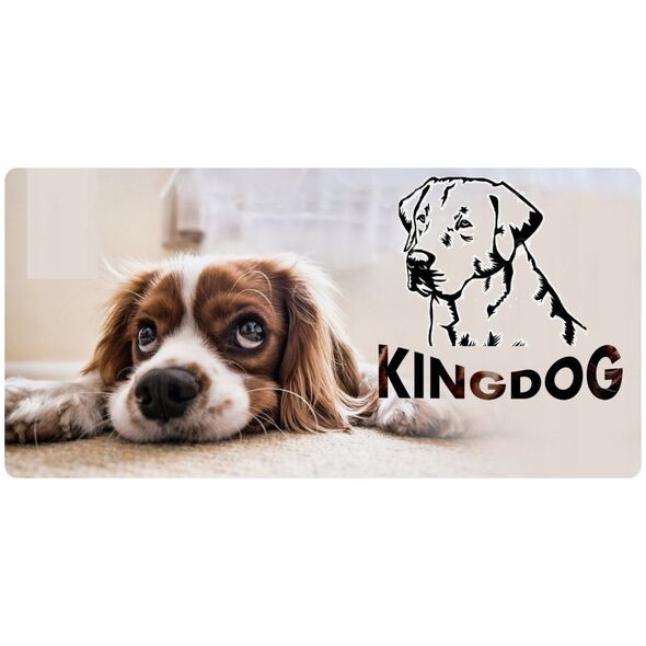 AIO FACTORY Legowisko personalizowane KINGDOG 100x75 niebieskie