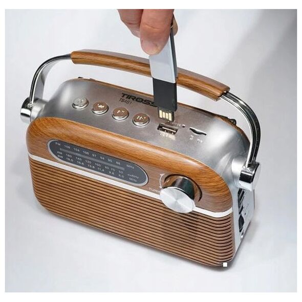 Radio Tiross TS-461