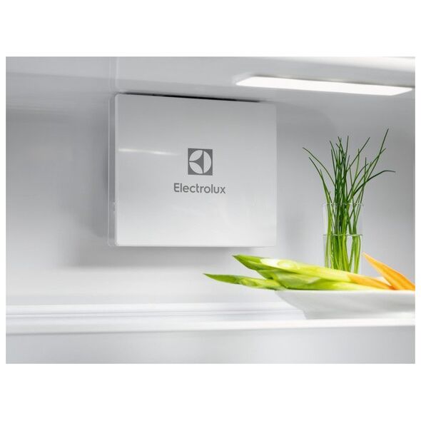 Ψυγείο Electrolux Electrolux LND5FE18S 13432277 7332543978625