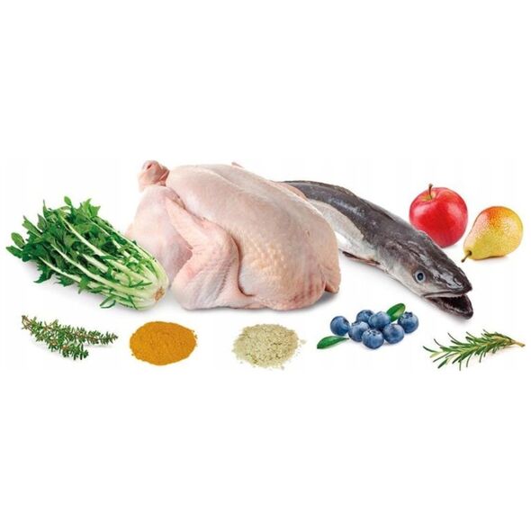 Arquivet Fresh Senior 10 kg