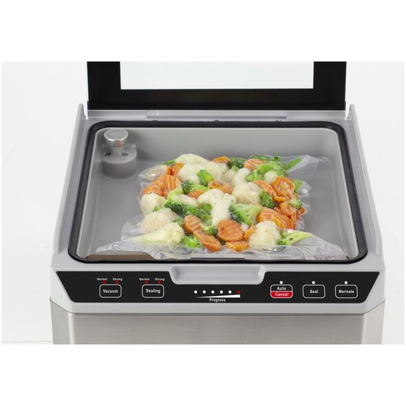 Caso Caso | Chamber Vacuum sealer | VacuChef 40 | Power 280 W | Nerūdijantis plienas