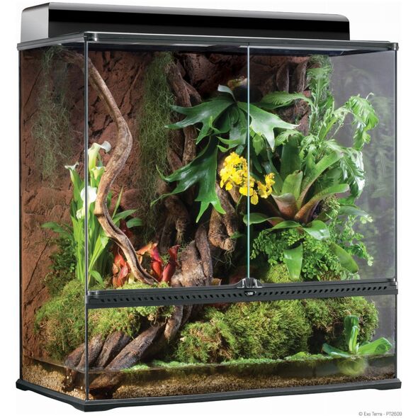 Exo Terra Paludarium szklane MEDIUM,60x45x90cm