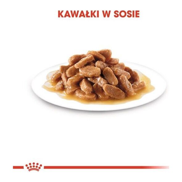 Royal Canin Royal Canin Mini Puppy karma mokra dla szczeniąt, od 2 do 10 miesiąca życia, ras małych saszetka 85g