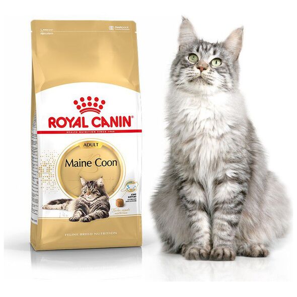 Royal Canin Maine Coon Adult karma sucha dla kotów dorosłych rasy maine coon 2 kg