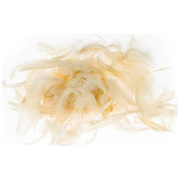 BREWIS Φτερά 7g /P7-2/ εκρού 1763019 5906190682659