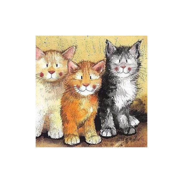 Karnet AC323 Koty Rodger, Dodger i Tinkerbell