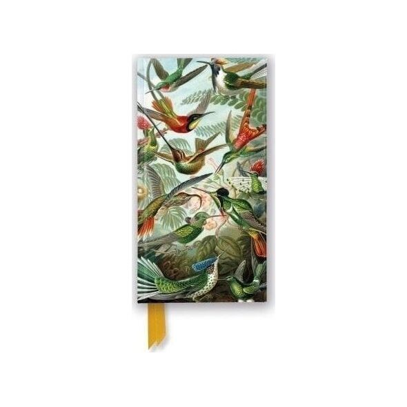 Notatnik linia TW Kolibry Ernst Haeckel