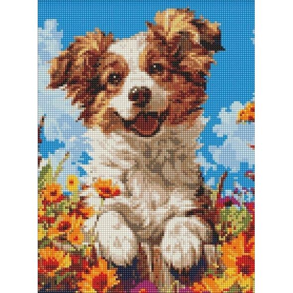 Diamentowa mozaika bez ramy -Pies w kwiatach 30x40