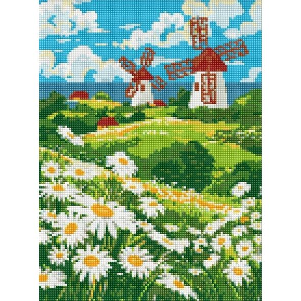 Diamentowa mozaika bez ramy - Pole stokrotek 30x40
