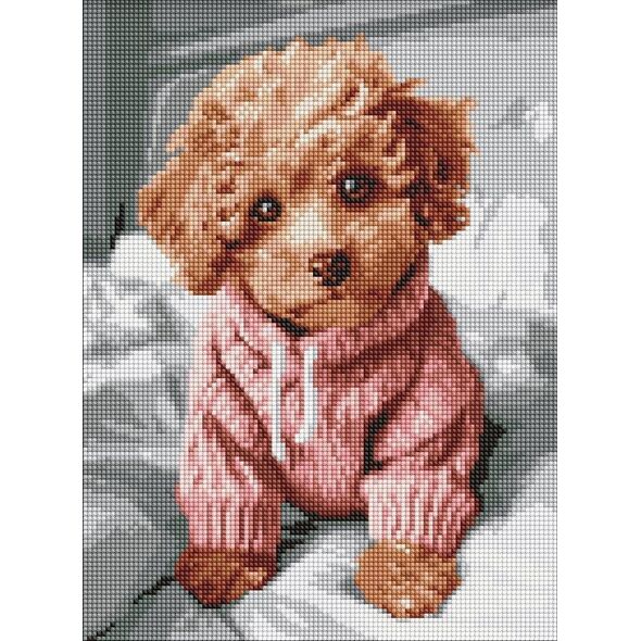 Norimpex Diamentowa mozaika - Magiczny Maltipoo 30x40cm