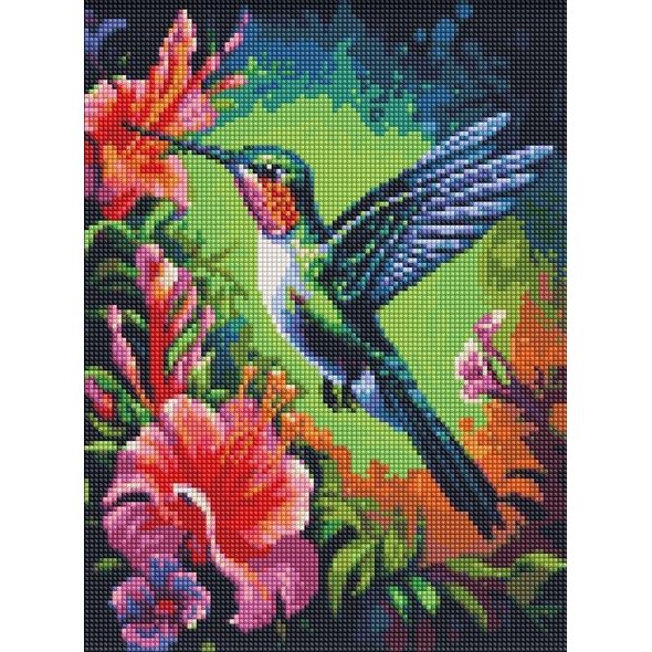 Norimpex Diamentowa mozaika - Wdzięczny koliber 30x40cm