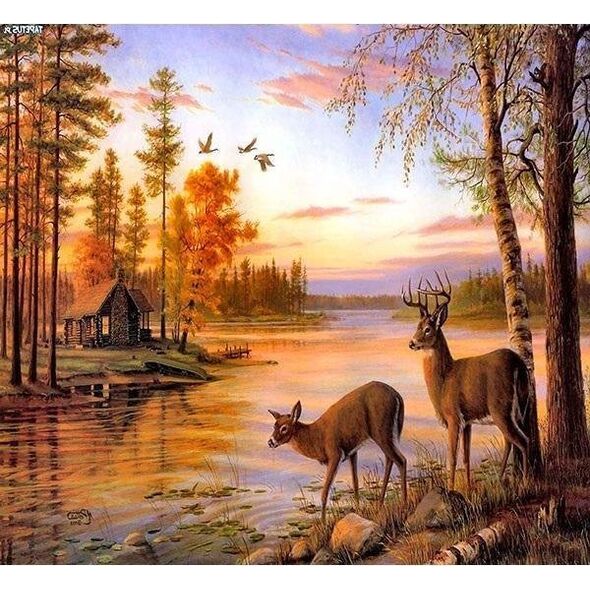 Norimpex Mozaika diamentowa 5D - Jeleń 40x30cm
