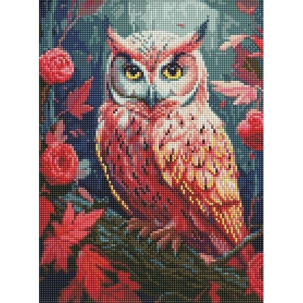 Ideyka Haft diamentowy z ramą Diamentowa mozaika 30x40cm Kolorowa sowa z kryształkami AB