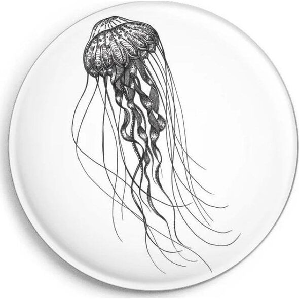 Magnes Meduza