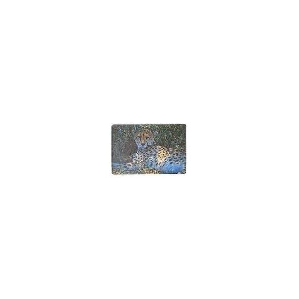 Podkładka na biurko piankowa gepard 60x40cm