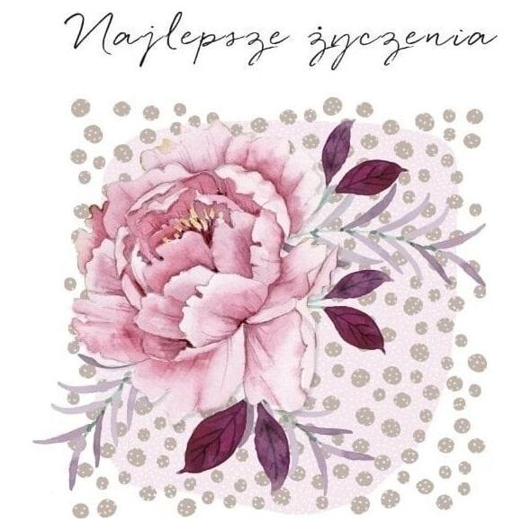 Karnet Swarovski kwadrat CL4504_PO Najlepsze życze