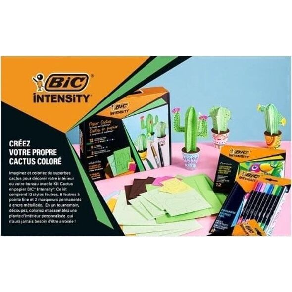 Zestaw Intensity Paper Cactus BIC