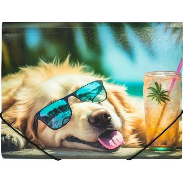Teczka A4 PP z nadrukiem Chillout Dog