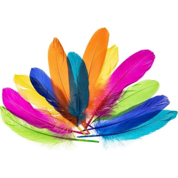 Piórka gęsie nenowy 15-20cm
