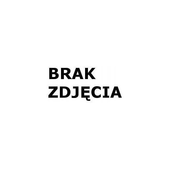 Teczka z gumką A4 zielona