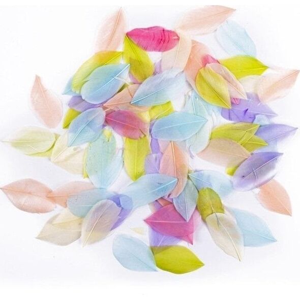 Pióra gęsie pastel 6cm 5g