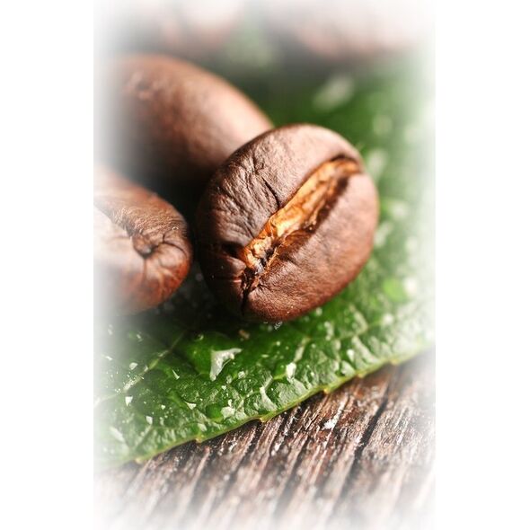 Kawa ziarnista Kimbo Barista Intenso 1 kg