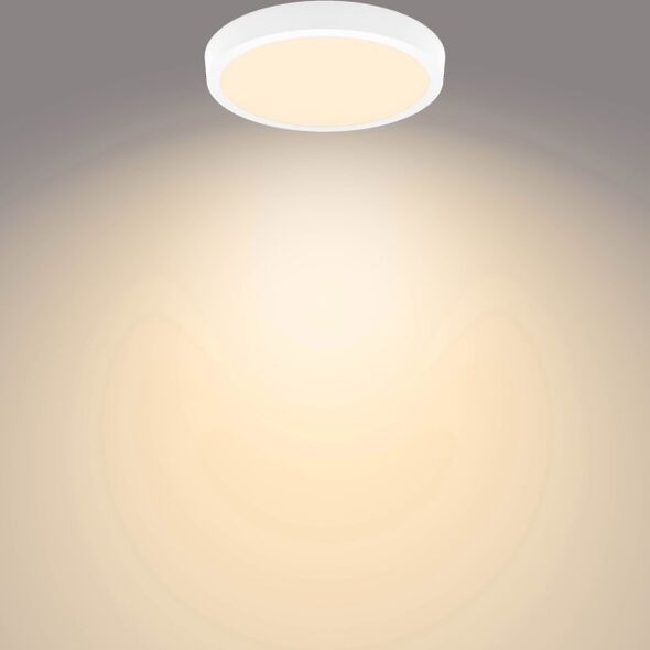 Lampa sufitowa Philips MAGNEOS SF DL252 RD 284 20W 27K WH 06