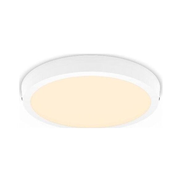 Lampa sufitowa Philips MAGNEOS SF DL252 RD 284 20W 27K WH 06