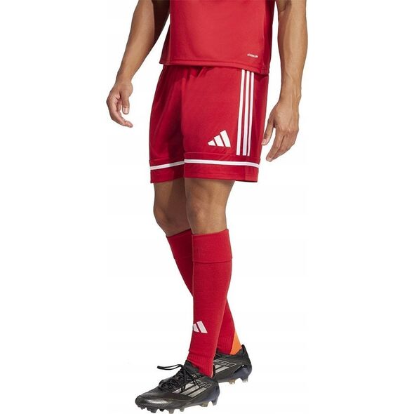 Spodenki adidas SQUADRA 25 Short JN5466