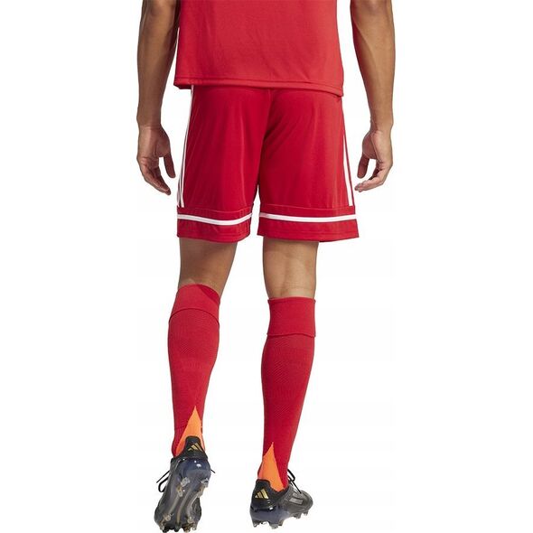 Spodenki adidas SQUADRA 25 Short JN5466