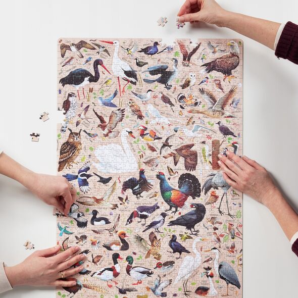 Puzzlove CzuCzu Ptaki 1000el