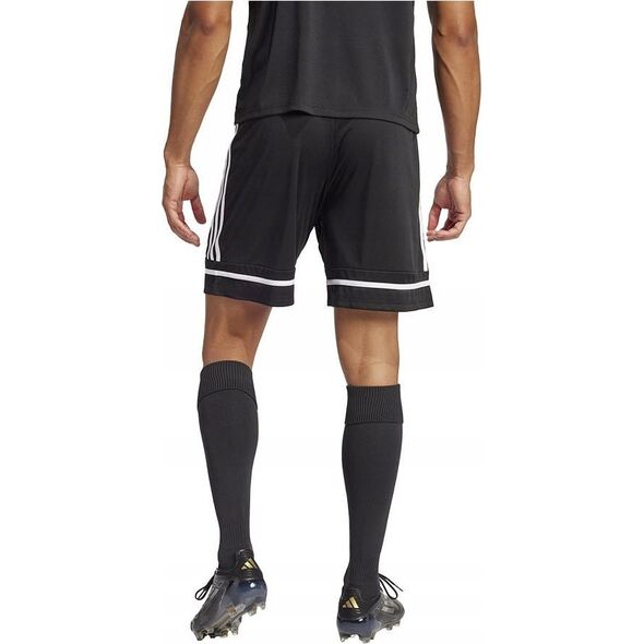 Spodenki adidas SQUADRA 25 JN5469