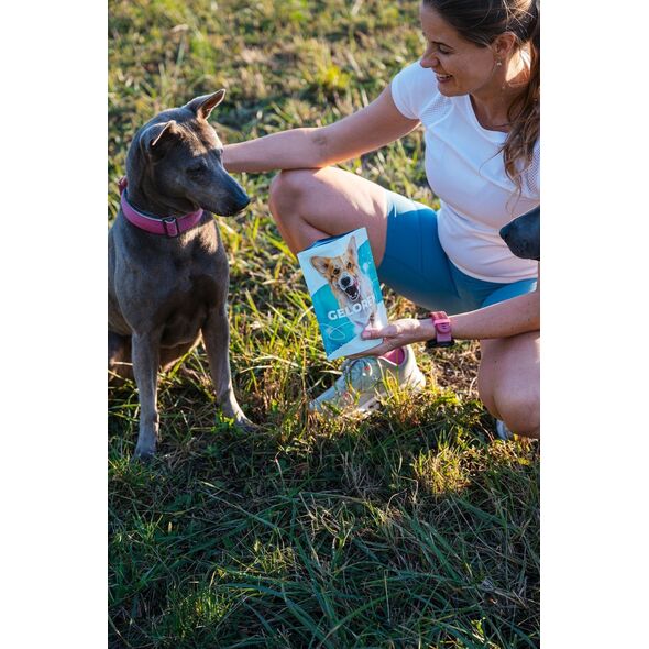 Contipro Geloren Small Dog 180g - Mieszanka uzupełniająca, żelki dla małych psów na stawy 60 szt.