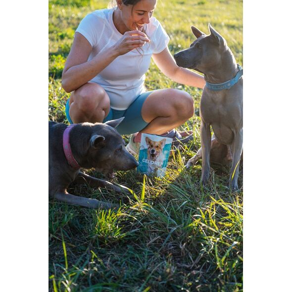 Contipro Geloren Small Dog 180g - Mieszanka uzupełniająca, żelki dla małych psów na stawy 60 szt.