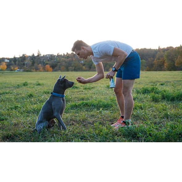 Contipro Geloren Small Dog 180g - Mieszanka uzupełniająca, żelki dla małych psów na stawy 60 szt.