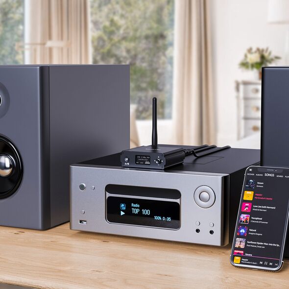 InLine InLine® Bluetooth 5.1 HiFi Receiver & USB DAC, with LCD