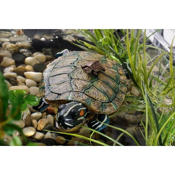 Exo Terra Floating Island - Turtle, 23 x 14 x 5 cm 12313681 15561230681