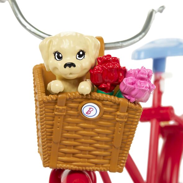 Barbie doll and bicycle set