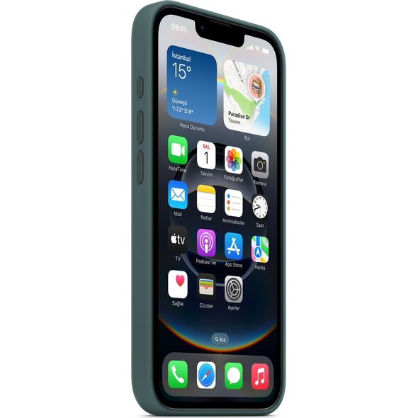 APPLE iPhone 16e Silicone Case Lake Green
