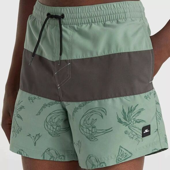 O Neill Męskie Szorty MIX & MATCH CALI BLOCK 15'' SWIM SHORTS